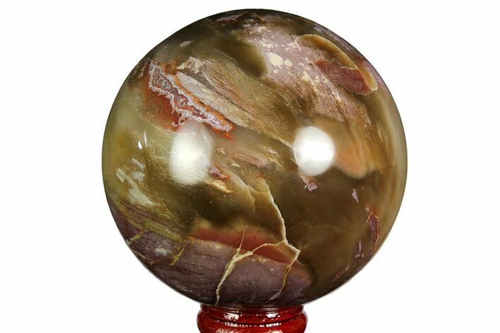 Colorful Petrified Wood Sphere - Madagascar #169139
